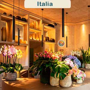 Consegna fiori Italia