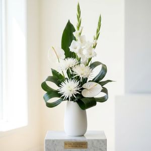 Pace Serena