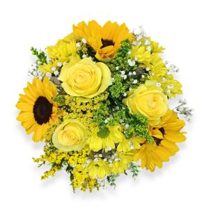 Meine Sonne